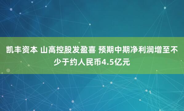 凯丰资本 山高控股发盈喜 预期中期净利润增至不少于约人民币4.5亿元
