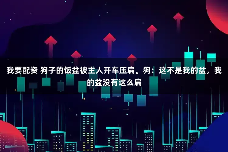 我要配资 狗子的饭盆被主人开车压扁。狗：这不是我的盆，我的盆没有这么扁