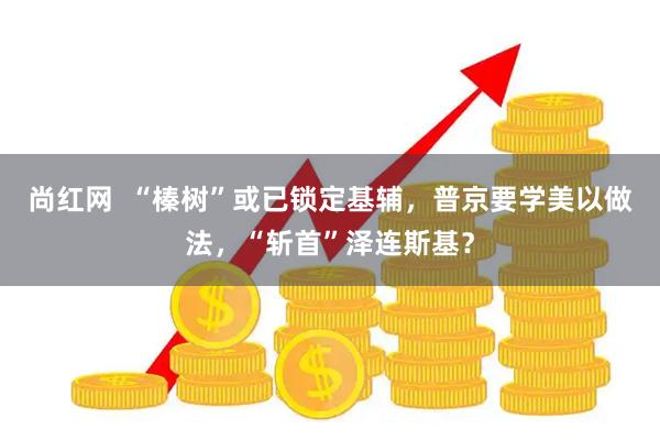 尚红网  “榛树”或已锁定基辅，普京要学美以做法，“斩首”泽连斯基？